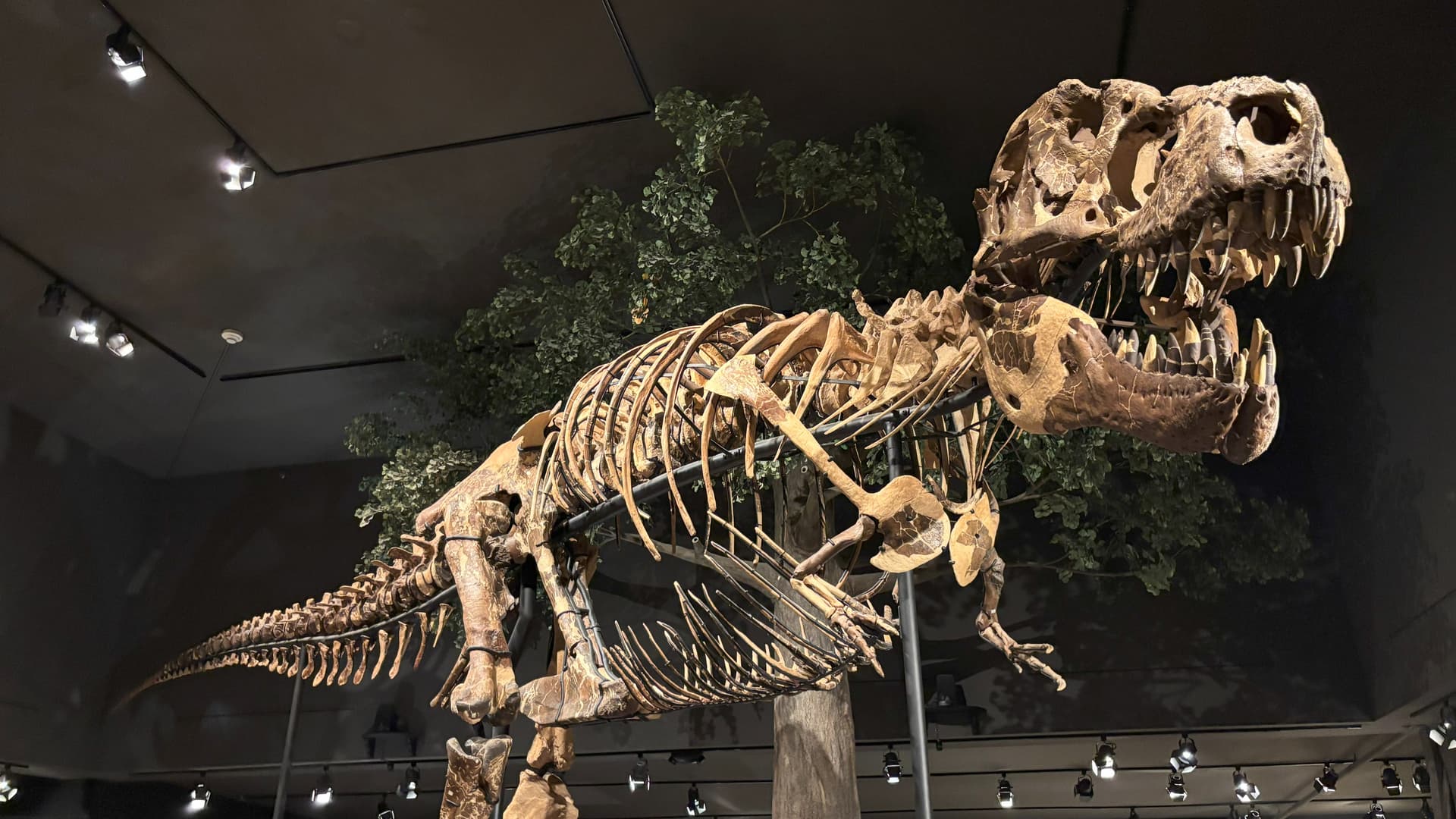 Belgrade, Bozeman, and Big Sky